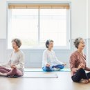 시니어 필라테스 이미지