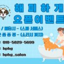 해피하개 이미지