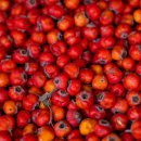 지오플러스 이미지