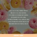 중독언니네