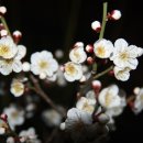 평안의집 이미지