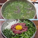 황제육회 | 제주연동맛집 애월미나리에서 황제곰탕과 육회비빔밥 먹은 후기 !