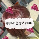 2층바른약국 | [부산/개금 미용실] 탈색없이 플럼브라운 염색한 후기 "이쁘다헤어 개금점"