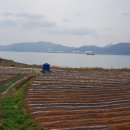 남해-270 이미지