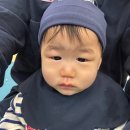 감성톡톡 자연물 놀이 | 8개월 아기 현대백화점 천호점 문화센터 후기 (오감톡톡 감성놀이 베베스타)