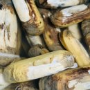 태안 머드캠프 펜션 이미지