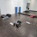 동신대학교부속 목포한방병원 이미지