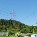 영구네농장 이미지