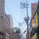 만선호프 - 목포시 영산로75번길 21 | 만선호프