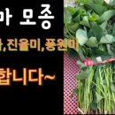 용북길 이미지