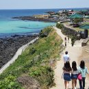 효리네 민박 이미지