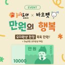놀러오개 애견유치원 애견호텔 울산동구점 | 놀러오개 울산동구점 X 바오펫 [만원의 행복] 이벤트