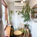 세모집 제주 이미지