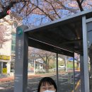 버스정류소_천제연폭포 이미지