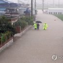 도천마을회관 이미지