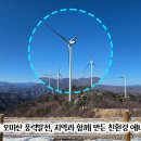 영풍태양광발전소 이미지