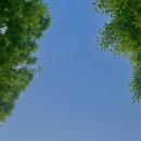 형창 | 누가 제목 좀 정해줘요 OTL