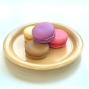 대학병원안경원 이미지