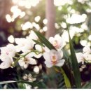 보광마트 이미지