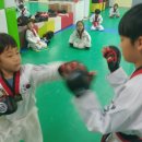 계명석사태권도장 이미지