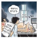 오늘의 신문 시사만평(Today Cartoon) 2013년 4월 2일【화요일】 이미지