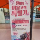 비치아이 | 경주 캘리포니아비치 아이와 방문 후기 준비물 주차 할인 꿀팁 총정리