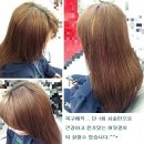 리헤어칼라 - 관악구 | 리헤어칼라