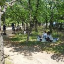 토이랜드 이미지