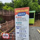 🌳 청주랜드 동물원 후기🐾 도심 속 자연에서 만난 가성비 최고의 아이와 나들이!
