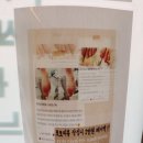 MS마트(후평점) | 춘천 발각질 관리 잘하는 레푸스 춘천후평점