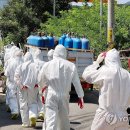 양돈농장 이미지