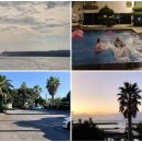 제주도 게스트하우스 파티 빅썸 | 제주도의 밤, 잊지 못할 추억! 빅썸 게스트하우스 파티 후기