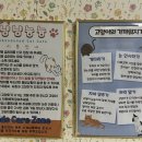 냥냥늉늉 이미지