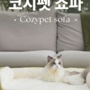 스토리펫 이미지