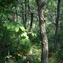 고개쉼터 이미지