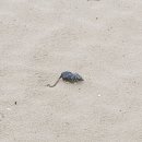 죽도회타운 이미지