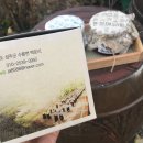 백운2리경로당 | 성주 팔만대장경 이운순례길 체험지원사업,성주 팸투어