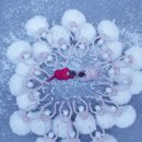 SAC ON SCREEN 발레 호두까기인형 이미지