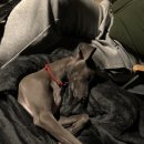 홀리데이캠프캠핑장 이미지