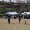 성곡초등학교3 이미지