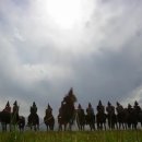 코미타투스 이미지