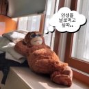 다래 당구장 | 칵테일, 러브, 좀비