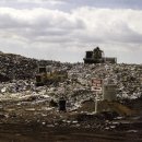 동반행정사사무소 이미지