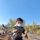 오니유니