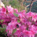 송림펜션 이미지