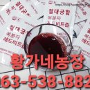 황가네농장 | 황가네농장 [복분자레드비트즙 맛본 후기]