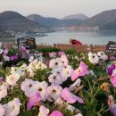 별 정원 이미지