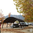 상의자동차야영장 이미지