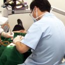 전일치과의원 이미지