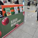 이마트24 동해묵호등대점 | [여행/묵호] 한적한 여행지로 유명해져버려 한적하지 않아진 뚜벅이 묵호여행1일차 (+소소한 답프)